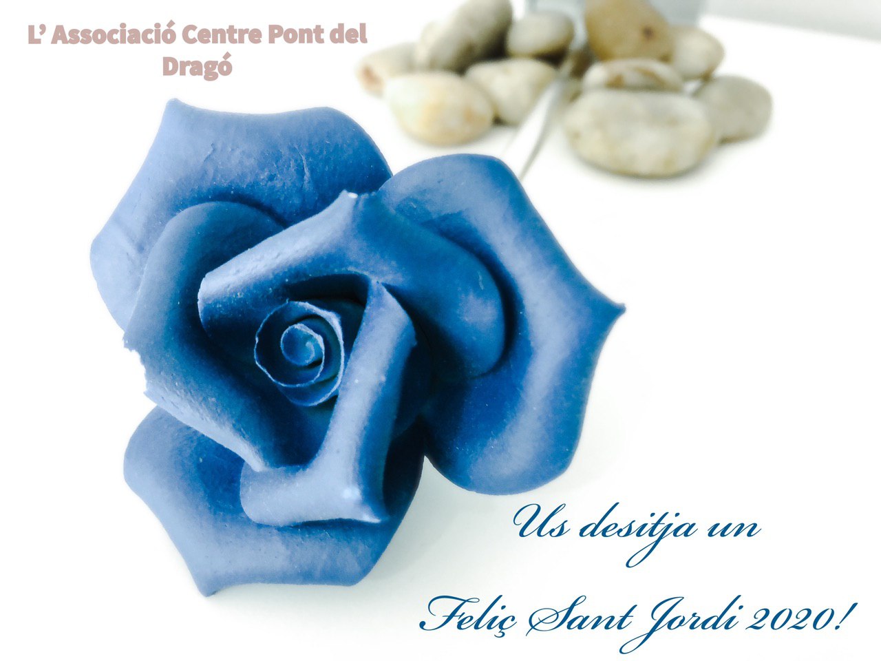 rosa de color blau